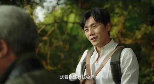 娱乐圈吃瓜巧合小说,意外巧合下的瓜田奇遇